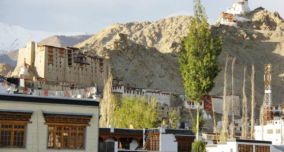 Hotel Alpine Villa, Leh 4